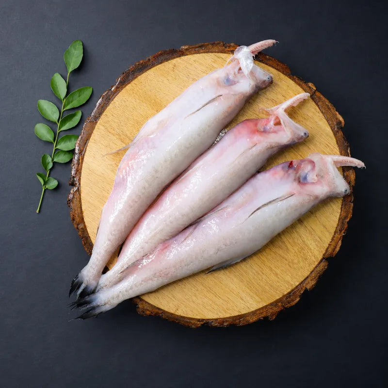 Fish  Bombay Duck