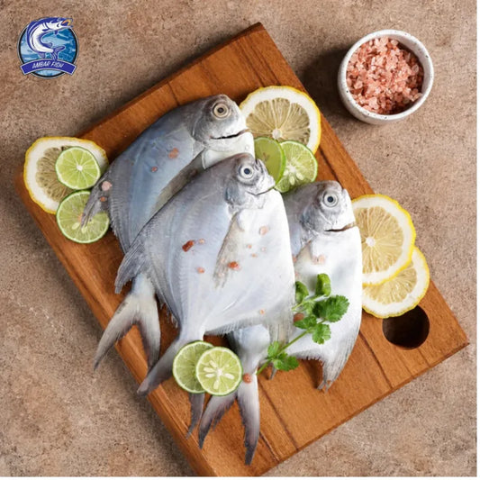 Silver Pomfret